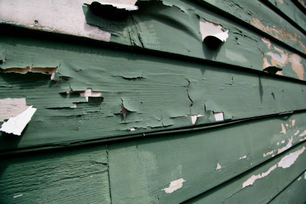 Affordable Siding Repair and Maintenance Services in Pegram, TN